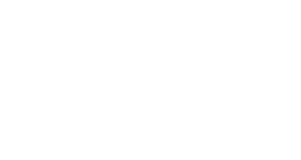 BRAVO WHITE LOGO
